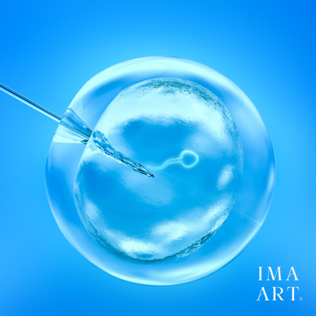 Artful Living X IMA ART Present White-Glove Fertility